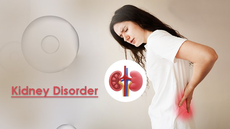 Kidney Disorder Exosome Treatment For Kidney Disorder
