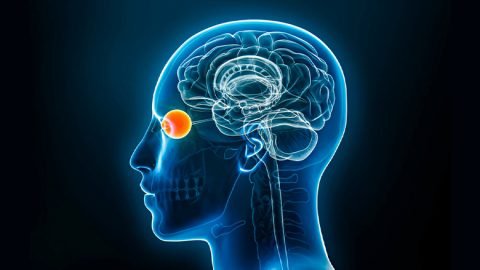 Exosome Treatment For Optic Neuropathy