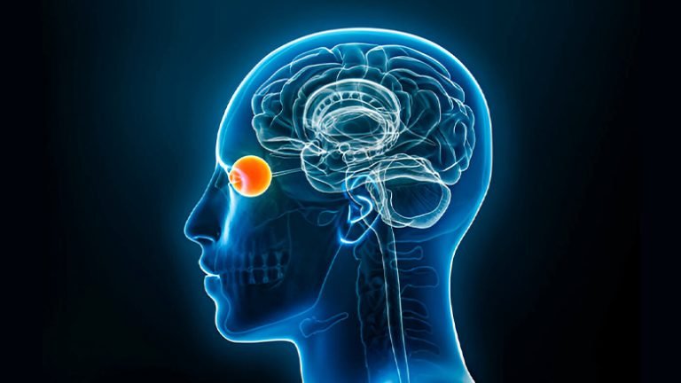 Exosome Treatment For Optic Neuropathy in Delhi, India - Stem Cell Care ...