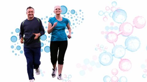 Stem Cell Therapy for Body Performance