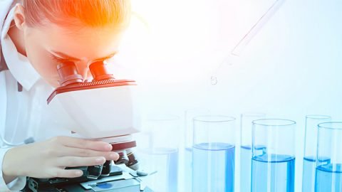 Stem cell care india