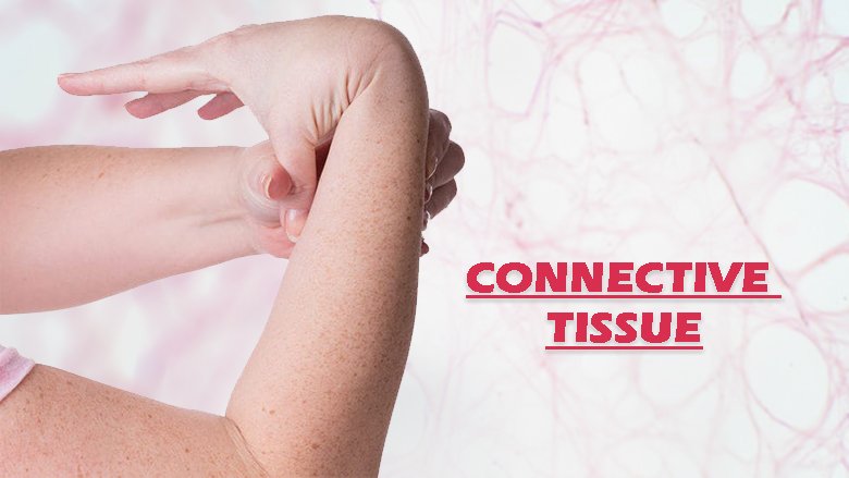 Exosome Treatment For Connective Tissue