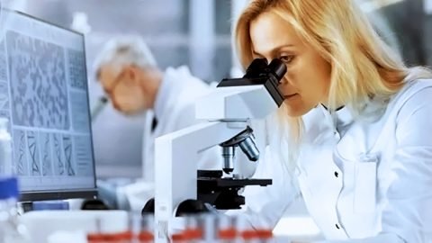 Stem Cell Clinical Trials Results