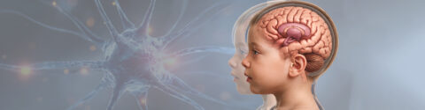 Stem Cell Treatment for Encephalo Dysplasia