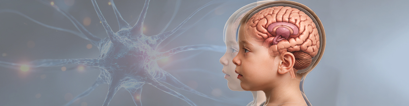 Stem Cell Treatment for Encephalo Dysplasia