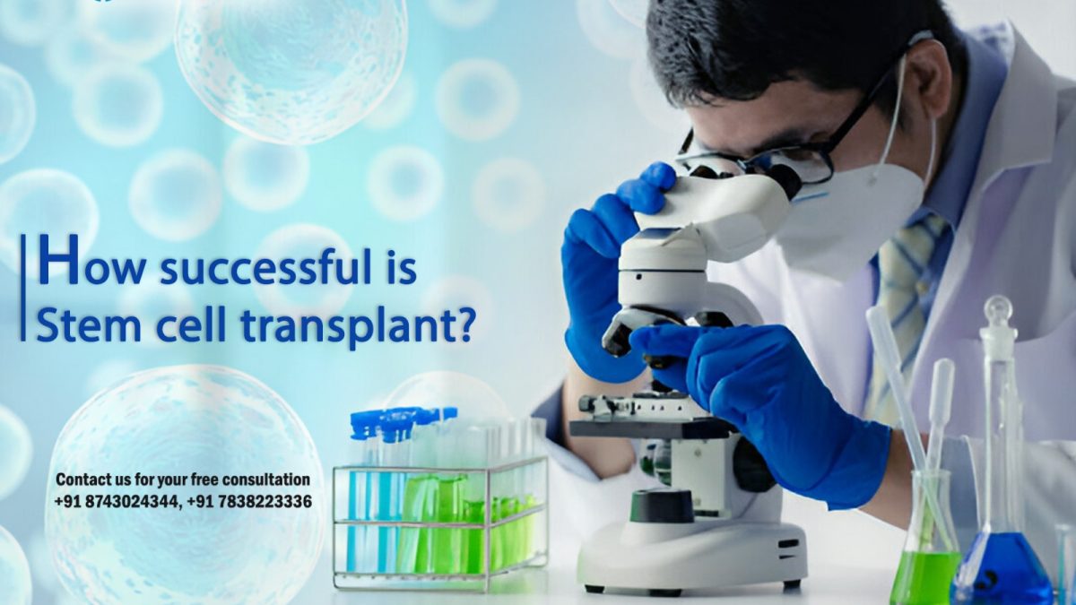 How Successful is Stem Cell Transplant?