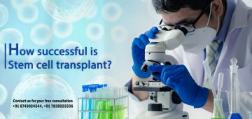 How Successful is Stem Cell Transplant?