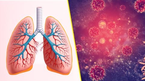 Immunotherapy for Lung Cancer in India