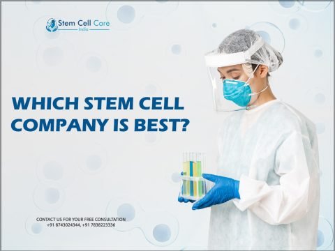 Which Stem Cell Company is Best?