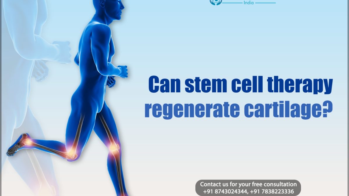 Can Stem Cell Therapy Regenerate Cartilage?