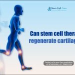 Can Stem Cell Therapy Regenerate Cartilage?