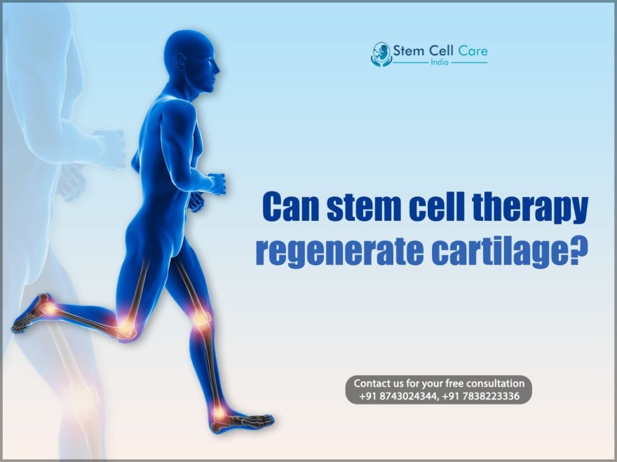 Can Stem Cell Therapy Regenerate Cartilage?