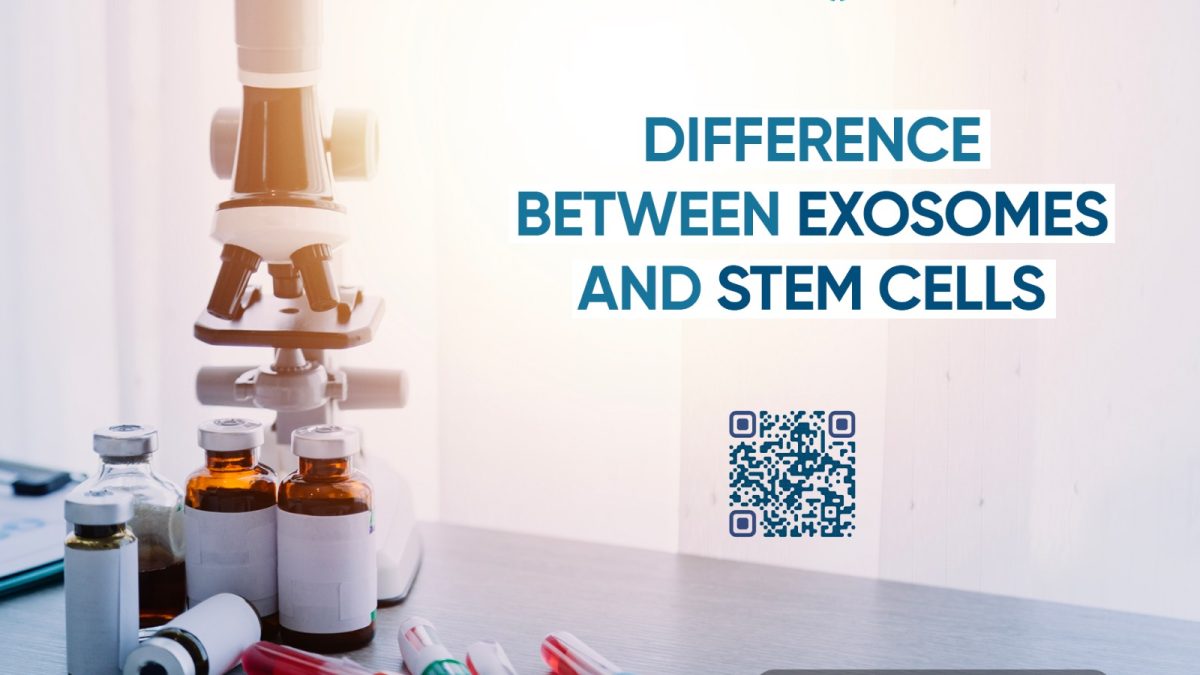 Difference Between Exosomes and Stem Cells