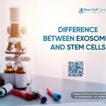 Difference Between Exosomes and Stem Cells