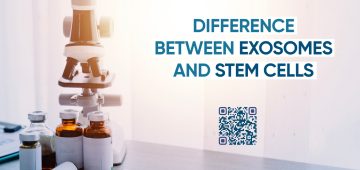 Difference Between Exosomes and Stem Cells