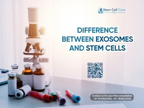 Difference Between Exosomes and Stem Cells