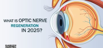 What Is Optic Nerve Regeneration in 2025?