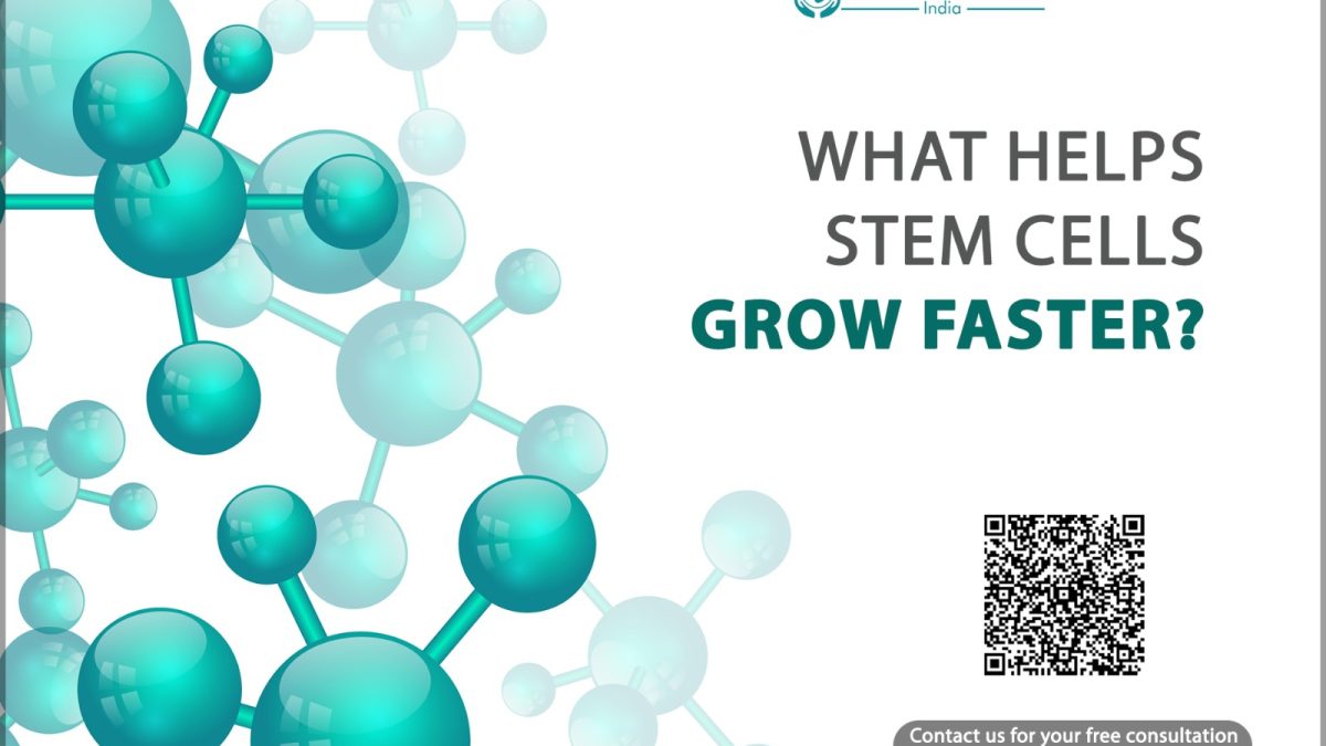 What Helps Stem Cells Grow Faster?