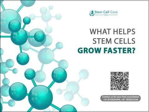 What Helps Stem Cells Grow Faster?