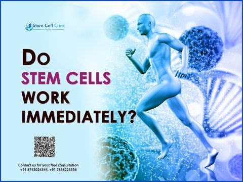 Do Stem Cells Work Immediately?