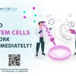 Do Stem Cells Work Immediately?