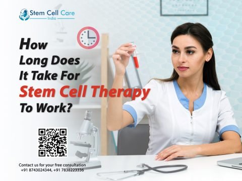 How Long Does It Take For Stem Cell Therapy To Work?