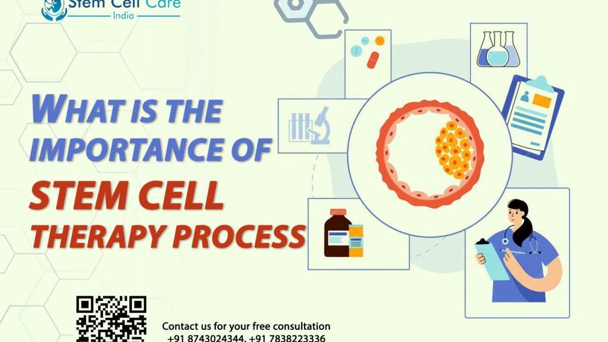 What Is the Importance of the Stem Cell Therapy Process?