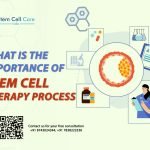 What Is the Importance of the Stem Cell Therapy Process?