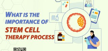 What Is the Importance of the Stem Cell Therapy Process?