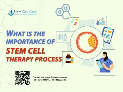 What Is the Importance of the Stem Cell Therapy Process?