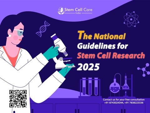 India has set new guidelines in 2025 to direct the utilization of stem cells for research as well as clinical interventions.