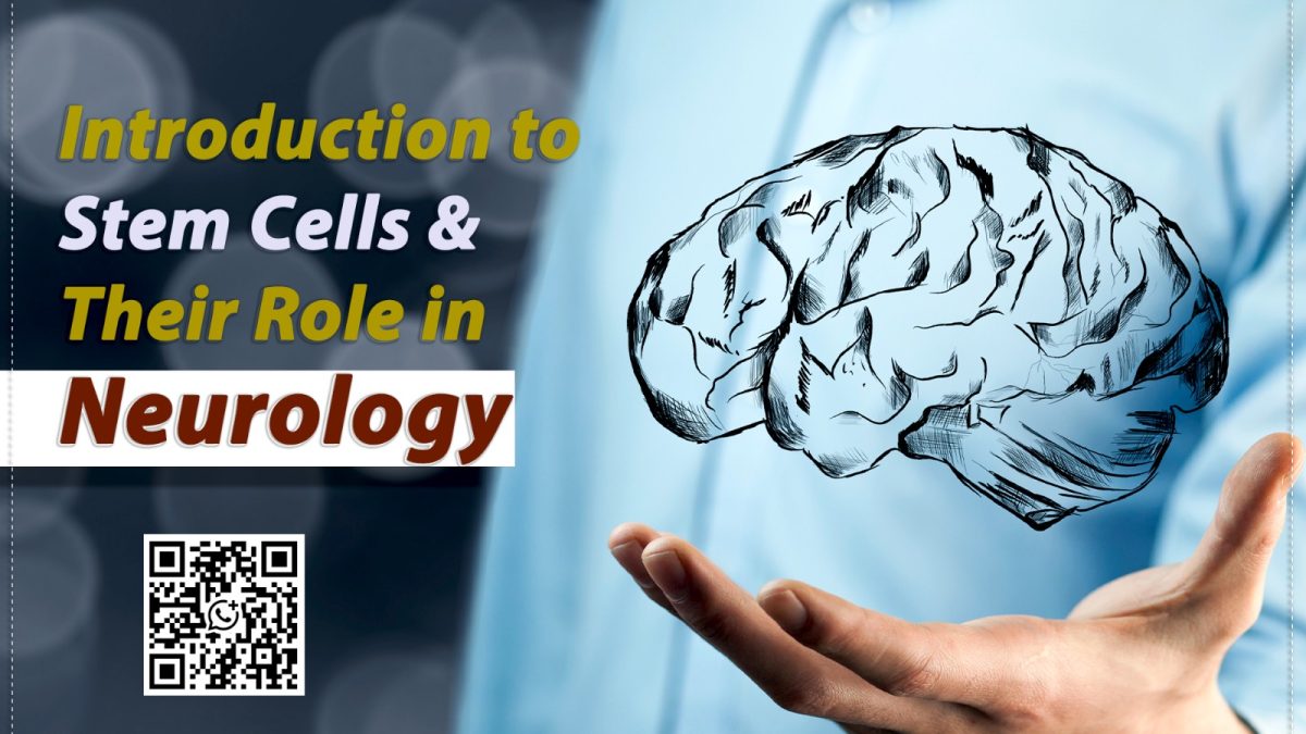 Introduction to Stem Cells and Their Role in Neurology