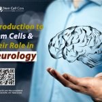 Introduction to Stem Cells and Their Role in Neurology