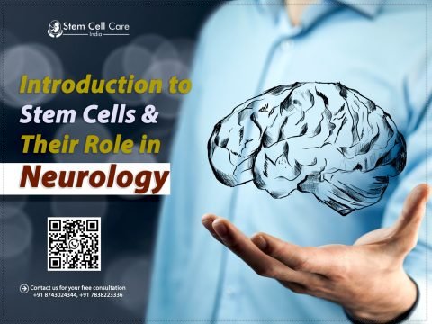 Introduction to Stem Cells and Their Role in Neurology