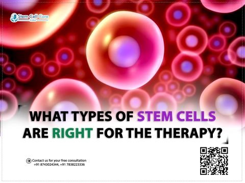What Types of Stem Cells Are Right for the Therapy?