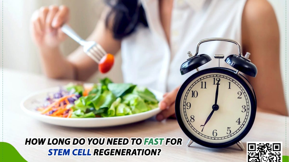 How Long Do You Need to Fast for Stem Cell Regeneration