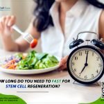 How Long Do You Need to Fast for Stem Cell Regeneration