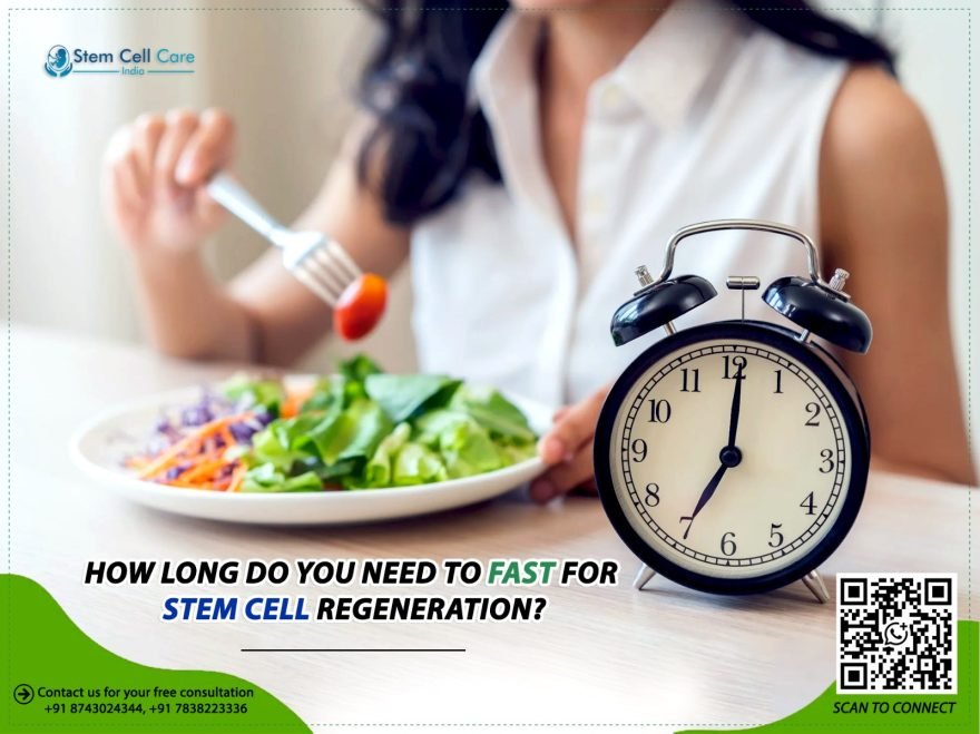 How Long Do You Need to Fast for Stem Cell Regeneration