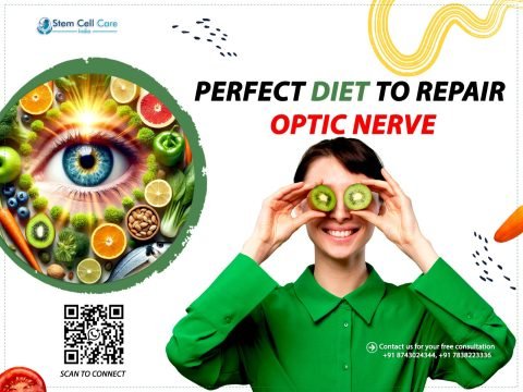 Perfect Diet to Repair the Optic Nerve