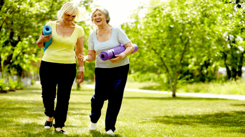 Stem Cell Therapy for Body Performance