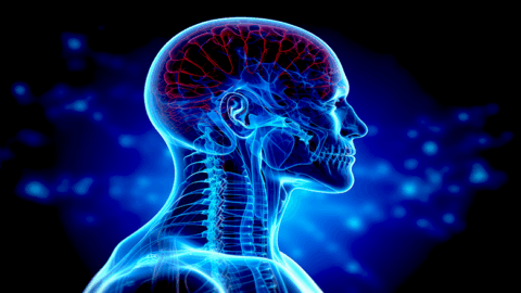 Stem Cell Treatment for Encephalomyelitis