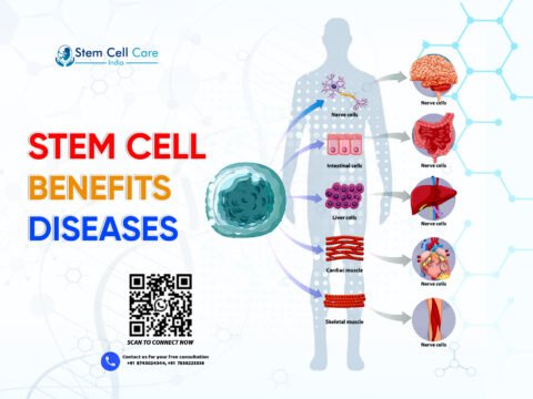 Stem Cell Benefits Diseases