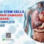 Stem Cells
