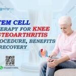 Stem cell