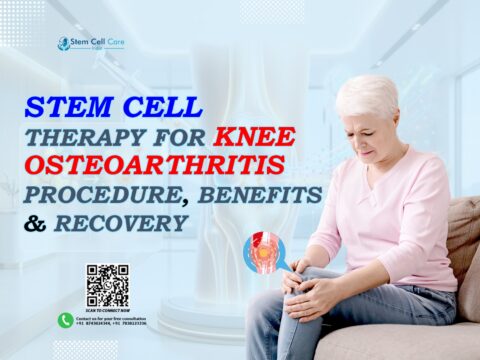 Stem cell