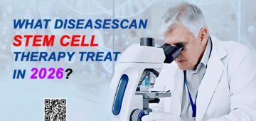 Stem Cell