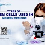 Stem Cell