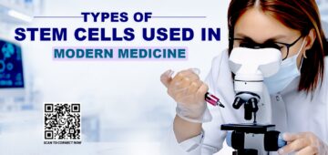 Stem Cell