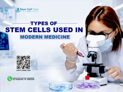 Stem Cell
