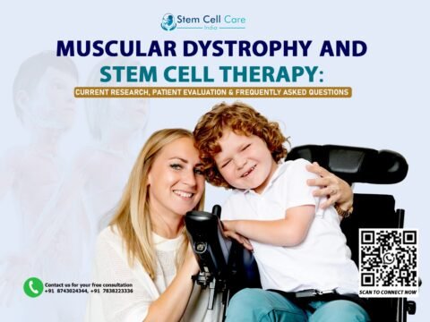 Stem Cell
